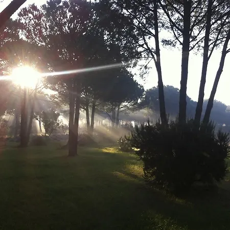 Campagne Les Jumeaux * Ramatuelle